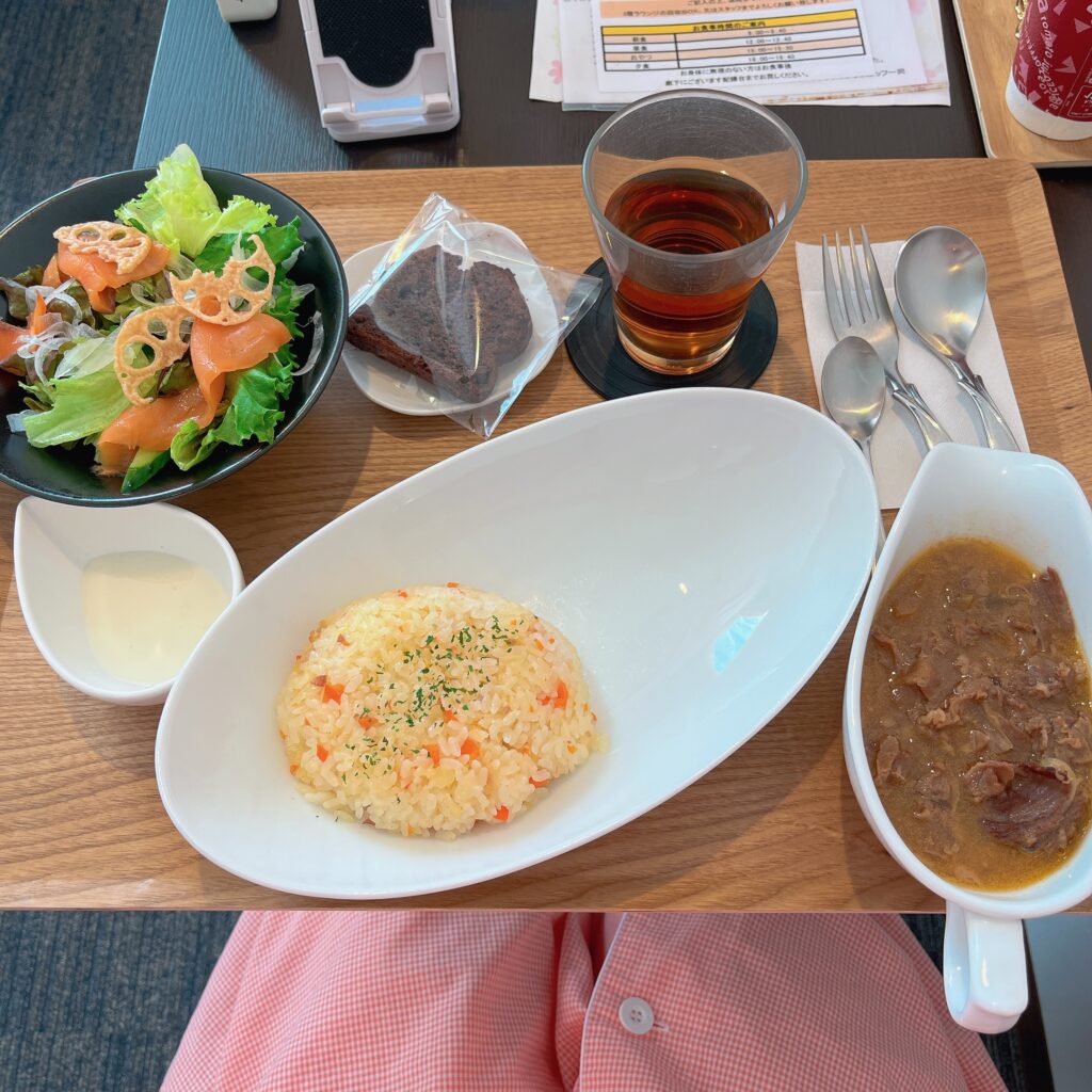 昼食（ビーフストロガノフ）